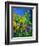 Wild Flowers 454170-Pol Ledent-Framed Art Print