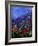 Wild Flowers 789070-Pol Ledent-Framed Art Print