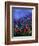 Wild Flowers 789070-Pol Ledent-Framed Art Print