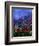 Wild Flowers 789070-Pol Ledent-Framed Art Print