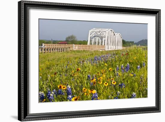 Wild Flowers by Highway and the Llano River, Texas, USA-Larry Ditto-Framed Photographic Print