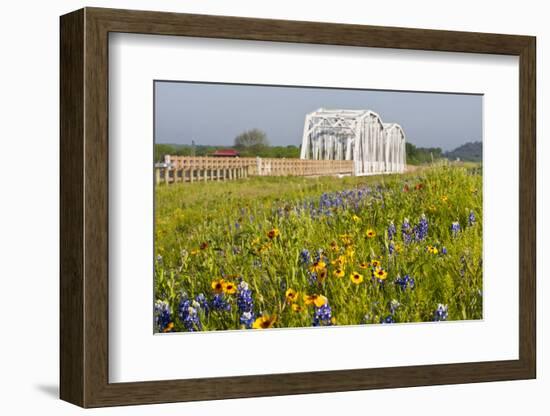 Wild Flowers by Highway and the Llano River, Texas, USA-Larry Ditto-Framed Photographic Print