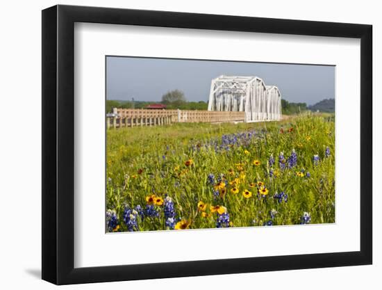 Wild Flowers by Highway and the Llano River, Texas, USA-Larry Ditto-Framed Photographic Print