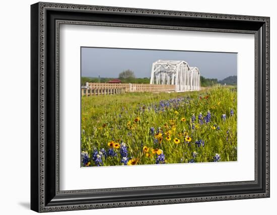 Wild Flowers by Highway and the Llano River, Texas, USA-Larry Ditto-Framed Photographic Print