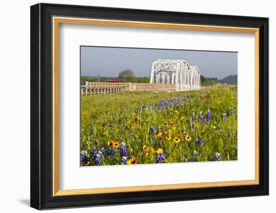 Wild Flowers by Highway and the Llano River, Texas, USA-Larry Ditto-Framed Photographic Print