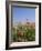 Wild Flowers, Highland of Castelluccio Di Norcia, Norcia, Umbria, Italy, Europe-Angelo Cavalli-Framed Photographic Print