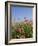 Wild Flowers, Highland of Castelluccio Di Norcia, Norcia, Umbria, Italy, Europe-Angelo Cavalli-Framed Photographic Print