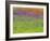 Wild Flowers in a Spring Meadow Near Valdepenas, Castile La Mancha, Spain-Michael Busselle-Framed Photographic Print