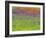 Wild Flowers in a Spring Meadow Near Valdepenas, Castile La Mancha, Spain-Michael Busselle-Framed Photographic Print