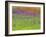 Wild Flowers in a Spring Meadow Near Valdepenas, Castile La Mancha, Spain-Michael Busselle-Framed Photographic Print