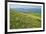 Wild flowers in bloom and horses, Mountain Acuto, Apennines, Umbria, Italy, Europe-Lorenzo Mattei-Framed Photographic Print