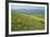 Wild flowers in bloom and horses, Mountain Acuto, Apennines, Umbria, Italy, Europe-Lorenzo Mattei-Framed Photographic Print