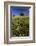 Wild Flowers in Field, Spring, Near Olvera, Andalucia, Spain-Peter Adams-Framed Photographic Print