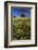 Wild Flowers in Field, Spring, Near Olvera, Andalucia, Spain-Peter Adams-Framed Photographic Print