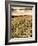 Wild Flowers in Field-Tim Kahane-Framed Photographic Print