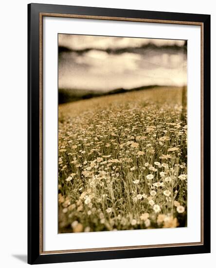 Wild Flowers in Field-Tim Kahane-Framed Photographic Print