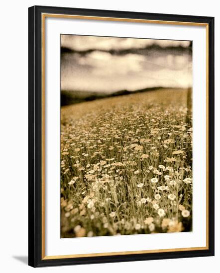 Wild Flowers in Field-Tim Kahane-Framed Photographic Print