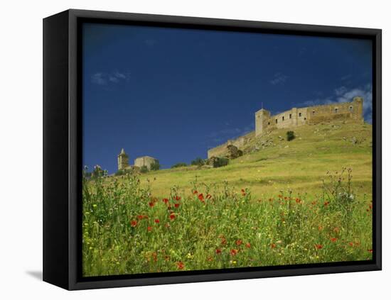 Wild Flowers in Front of the Castle of Medallin in Extremadura, Spain, Europe-Michael Busselle-Framed Premier Image Canvas