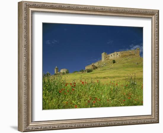 Wild Flowers in Front of the Castle of Medallin in Extremadura, Spain, Europe-Michael Busselle-Framed Photographic Print