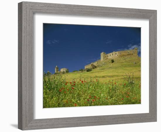 Wild Flowers in Front of the Castle of Medallin in Extremadura, Spain, Europe-Michael Busselle-Framed Photographic Print