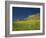 Wild Flowers in Front of the Castle of Medallin in Extremadura, Spain, Europe-Michael Busselle-Framed Photographic Print