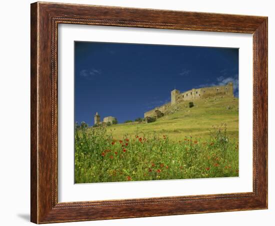 Wild Flowers in Front of the Castle of Medallin in Extremadura, Spain, Europe-Michael Busselle-Framed Photographic Print