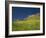 Wild Flowers in Front of the Castle of Medallin in Extremadura, Spain, Europe-Michael Busselle-Framed Photographic Print