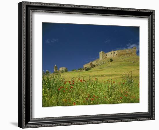 Wild Flowers in Front of the Castle of Medallin in Extremadura, Spain, Europe-Michael Busselle-Framed Photographic Print