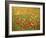 Wild Flowers Including Poppies in a Field in Majorca,Balearic Islands, Spain, Europe-null-Framed Photographic Print