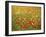 Wild Flowers Including Poppies in a Field in Majorca,Balearic Islands, Spain, Europe-null-Framed Photographic Print