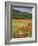 Wild Flowers Including Poppies in the Luberon Mountains, Vaucluse, Provence, France-Michael Busselle-Framed Photographic Print