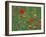 Wild Flowers, Including Poppy and Corncockle, Cultivated for Seed, Netherlands-Niall Benvie-Framed Photographic Print