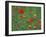 Wild Flowers, Including Poppy and Corncockle, Cultivated for Seed, Netherlands-Niall Benvie-Framed Photographic Print