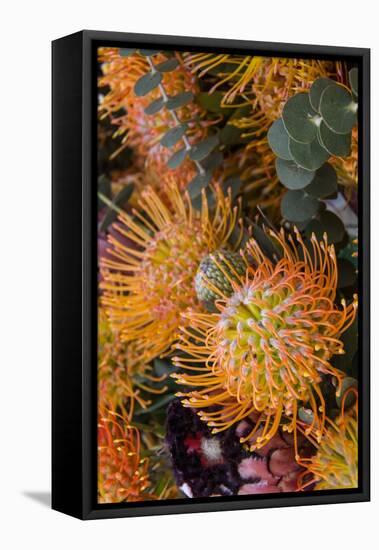 Wild Flowers of Hawaii-Terry Eggers-Framed Premier Image Canvas