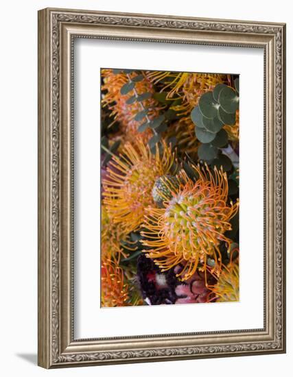 Wild Flowers of Hawaii-Terry Eggers-Framed Photographic Print