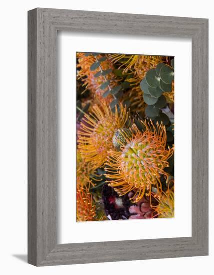 Wild Flowers of Hawaii-Terry Eggers-Framed Photographic Print