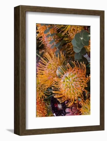 Wild Flowers of Hawaii-Terry Eggers-Framed Photographic Print