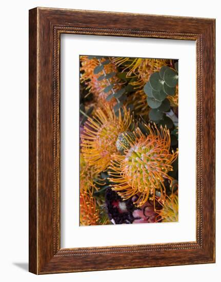 Wild Flowers of Hawaii-Terry Eggers-Framed Photographic Print