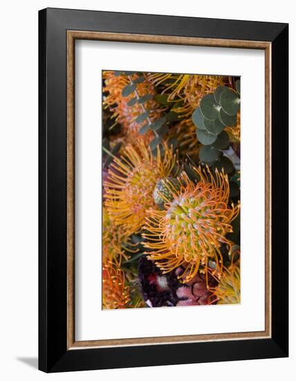 Wild Flowers of Hawaii-Terry Eggers-Framed Photographic Print