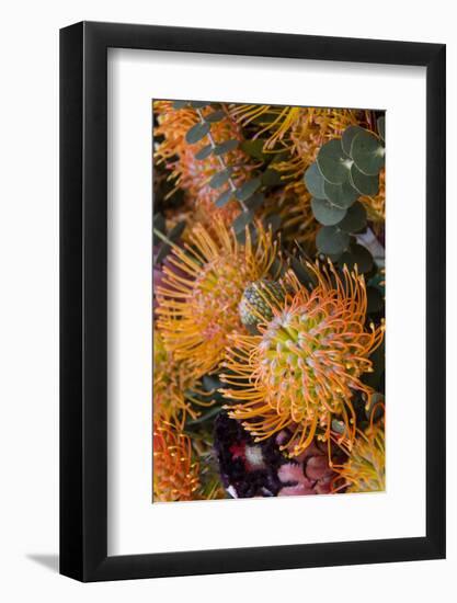 Wild Flowers of Hawaii-Terry Eggers-Framed Photographic Print