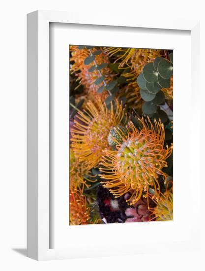 Wild Flowers of Hawaii-Terry Eggers-Framed Photographic Print