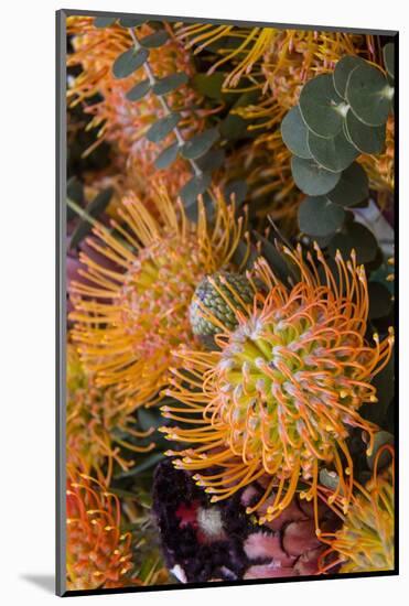 Wild Flowers of Hawaii-Terry Eggers-Mounted Photographic Print