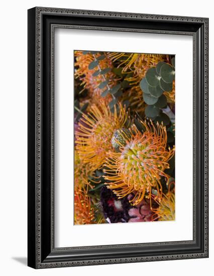 Wild Flowers of Hawaii-Terry Eggers-Framed Photographic Print