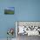 Wild Flowers on the Slopes Beside the Jungfrau Railway with the Jungfrau Beyond, Switzerland-Hans Peter Merten-Photographic Print displayed on a wall