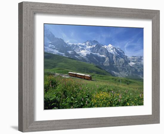 Wild Flowers on the Slopes Beside the Jungfrau Railway with the Jungfrau Beyond, Switzerland-Hans Peter Merten-Framed Photographic Print