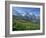 Wild Flowers on the Slopes Beside the Jungfrau Railway with the Jungfrau Beyond, Switzerland-Hans Peter Merten-Framed Photographic Print