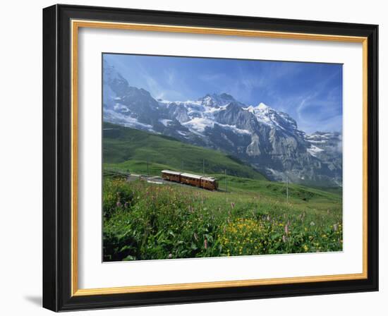 Wild Flowers on the Slopes Beside the Jungfrau Railway with the Jungfrau Beyond, Switzerland-Hans Peter Merten-Framed Photographic Print