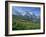 Wild Flowers on the Slopes Beside the Jungfrau Railway with the Jungfrau Beyond, Switzerland-Hans Peter Merten-Framed Photographic Print