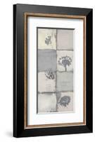 Wild Flowers Variation-Anna Flores-Framed Art Print