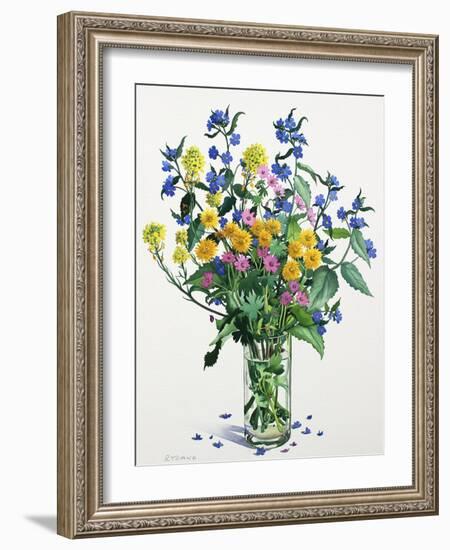 Wild Flowers with Alkanet, 2021 (w/c on paper)-Christopher Ryland-Framed Giclee Print